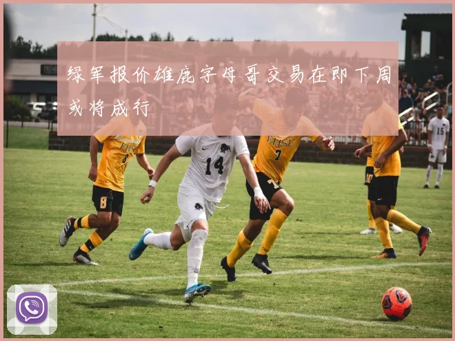 绿军报价雄鹿字母哥交易在即下周或将成行